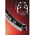 ambrosio_evolution_rim